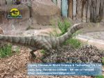 Life Size animatronic dinosaurs ( Coelophysis ) DWD006